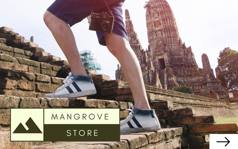 mangrove