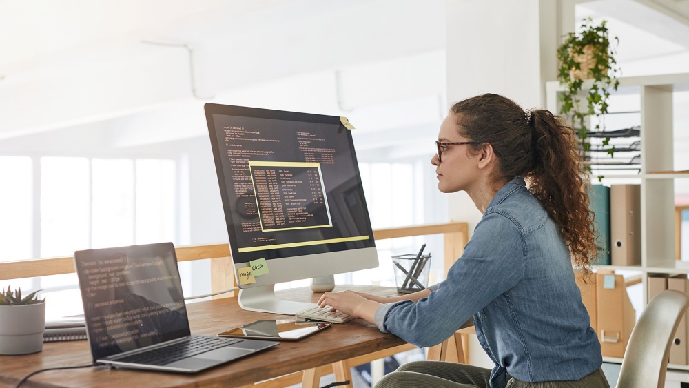 The Pros and Cons of Universal Pay Scale in IT 1