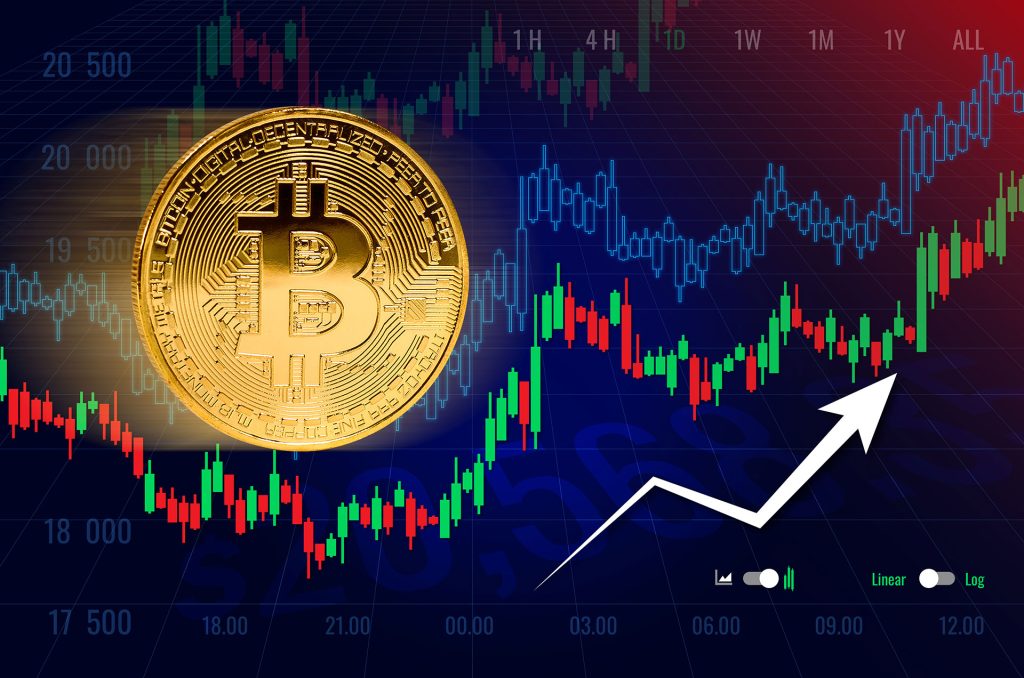 The Ultimate Guide to Spot Bitcoin ETFs 1